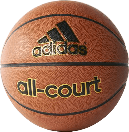 Picture of All-Court Basketball